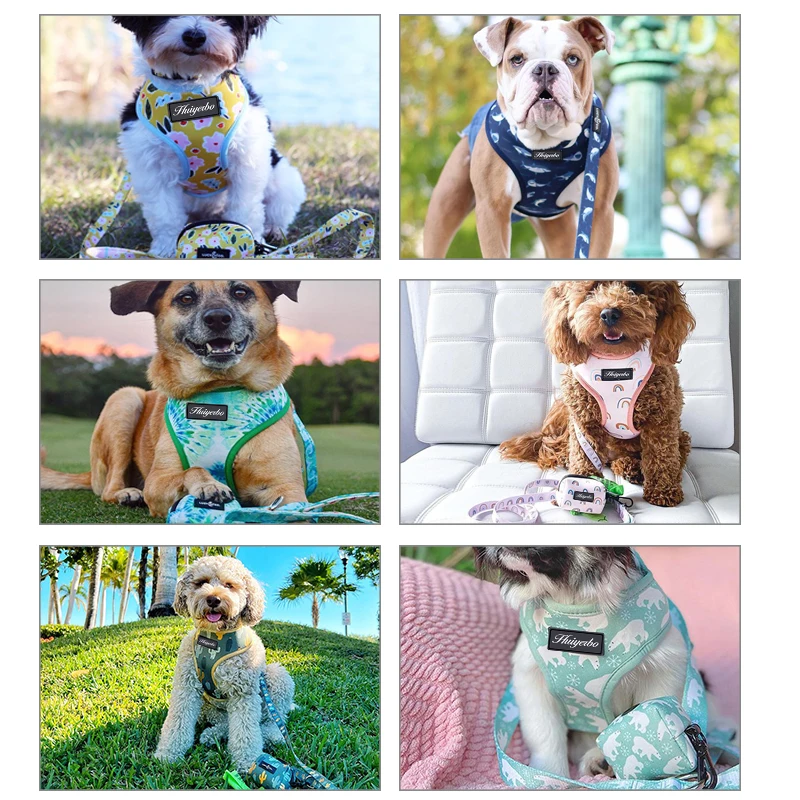 Модный дизайнерский Регулируемый мягкий Регулируемый ошейник для щенка с цветочным принтом, дизайнерская Роскошная шлейка и поводок для собак