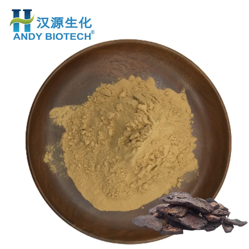 100% Pure Natural Rehmannia Glutinosa Root Extract Radix Rehmanniae Praeparata Extract