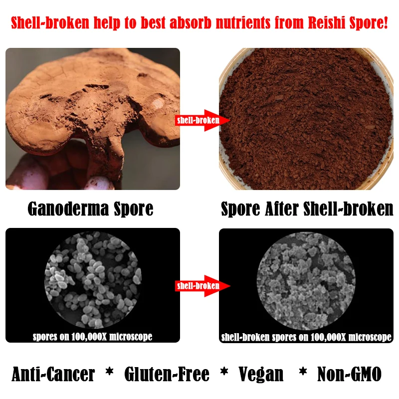 Бесплатный образец, 100% натуральный порошок порошка РАШИ