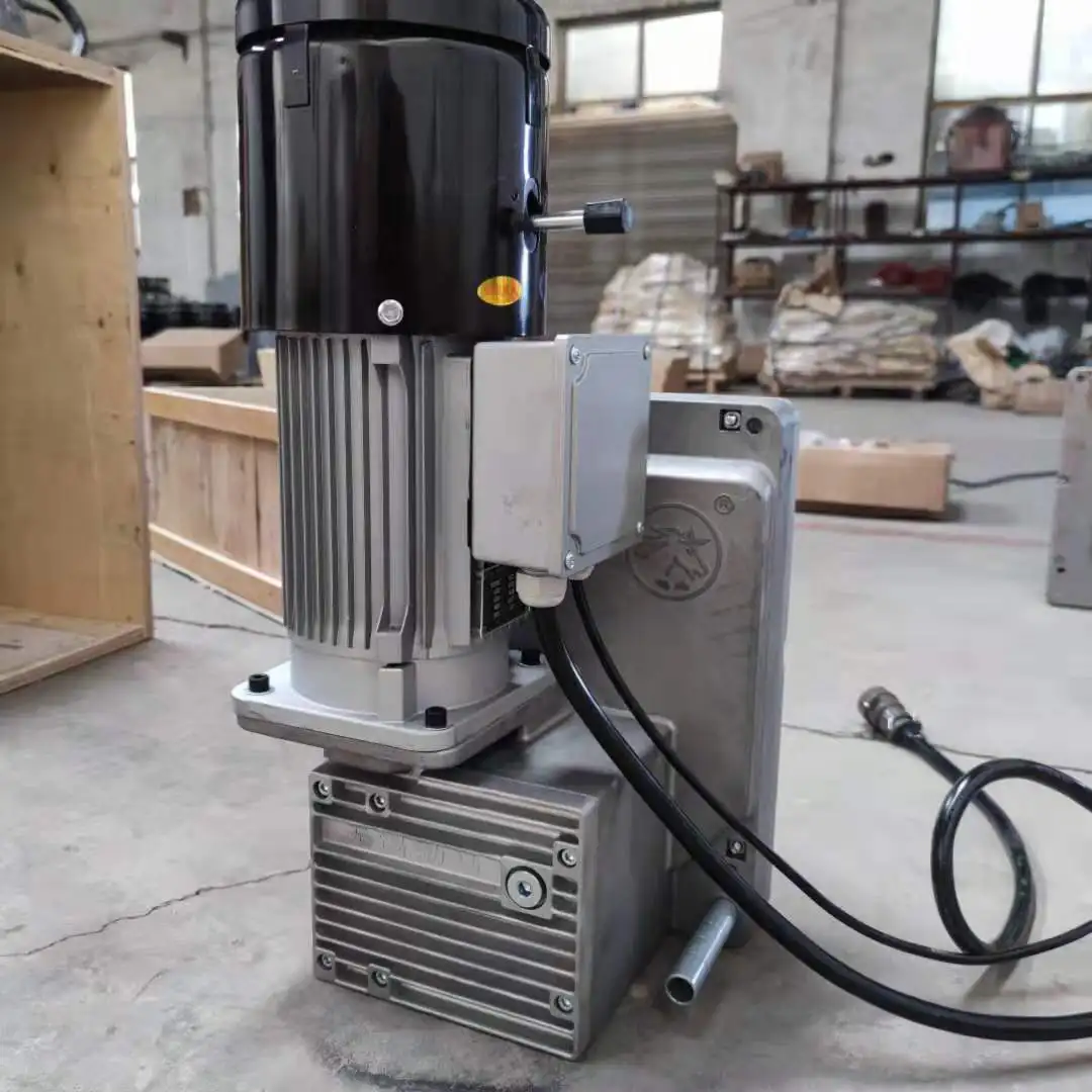 LTD80 hoist for building construction suspended platform