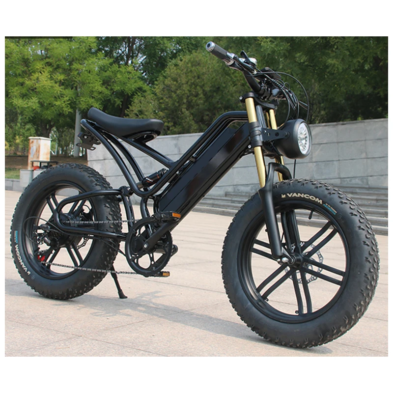 OEM 20 Inch 48V 750W Fat Tire Electric motorcycles Mountain dirt Bike Lithium Battery  hub motor  E-Bike Bicycle bike adult