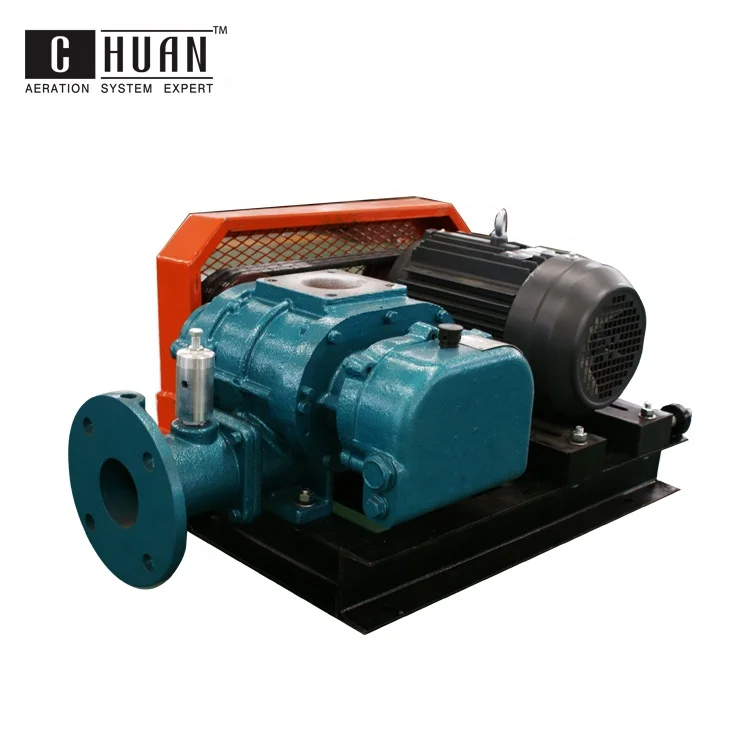 Vertical root blower air pump