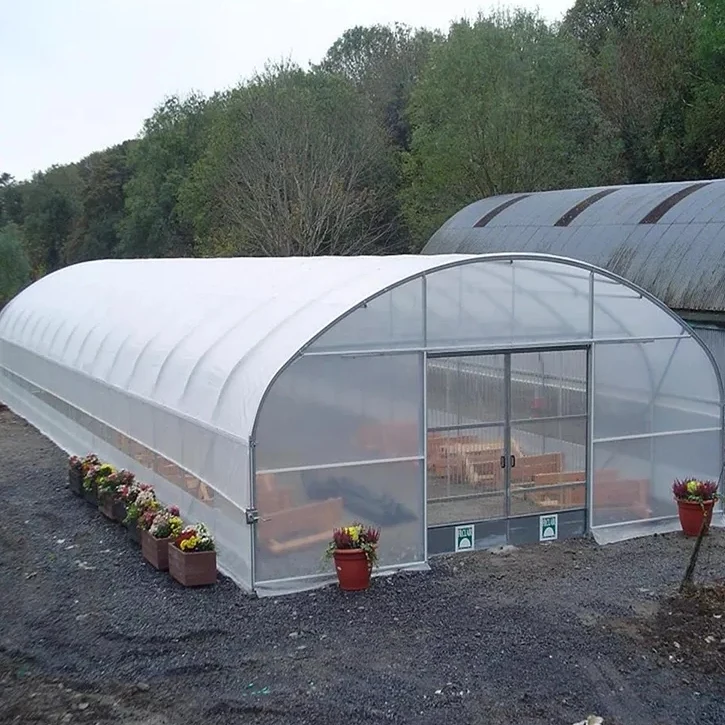 Economic Tunnel Plastic Greenhouse for Vegetable Greenhouse Tube GI pipe