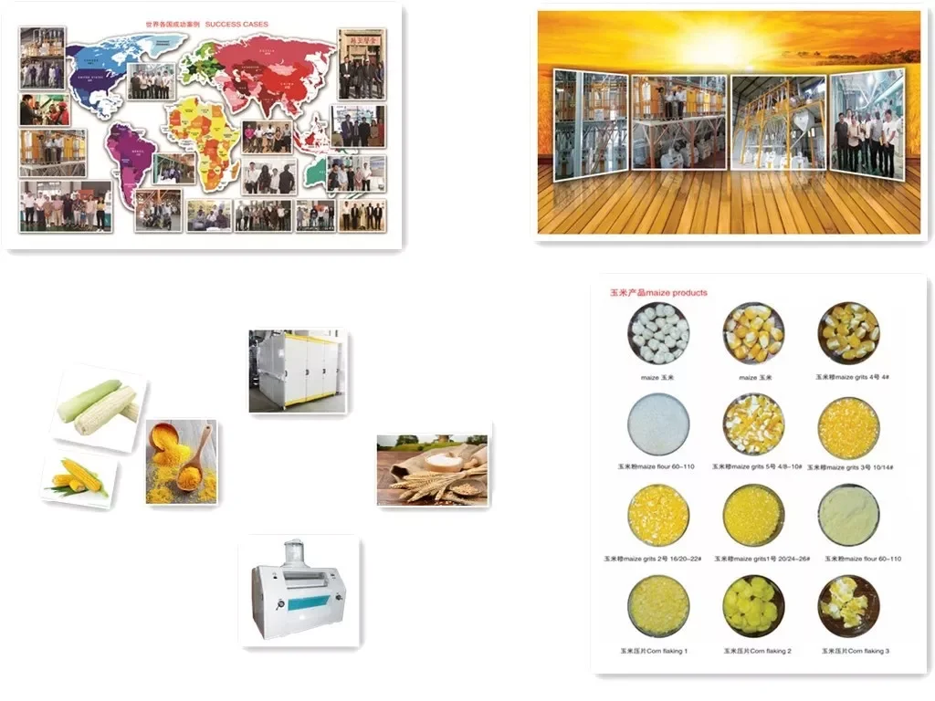 paste-pic-dp_uuid_9b35t