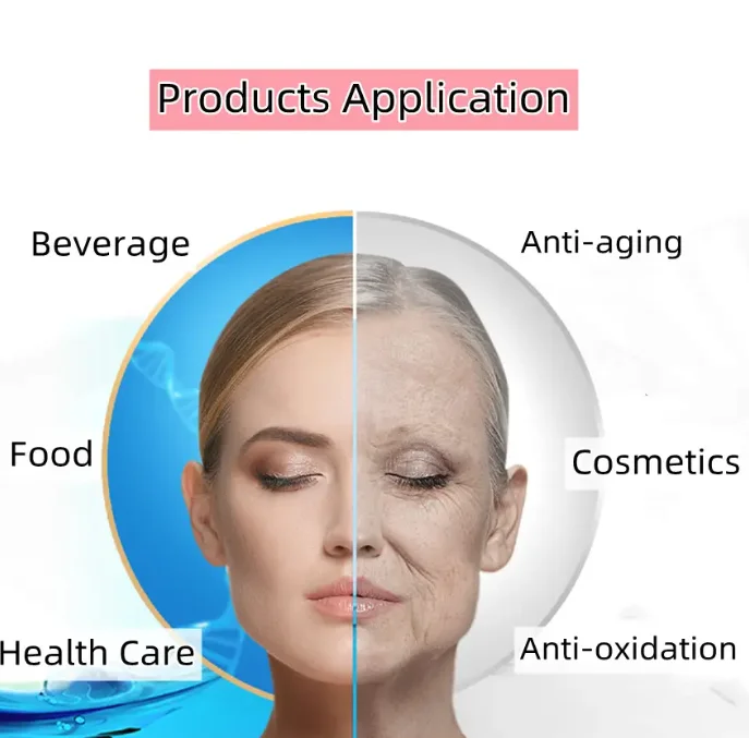 2024 hot sale high quality wholesale price Chinese wolfberry peptide Lycium barbarum peptide extract plant extract  For sale