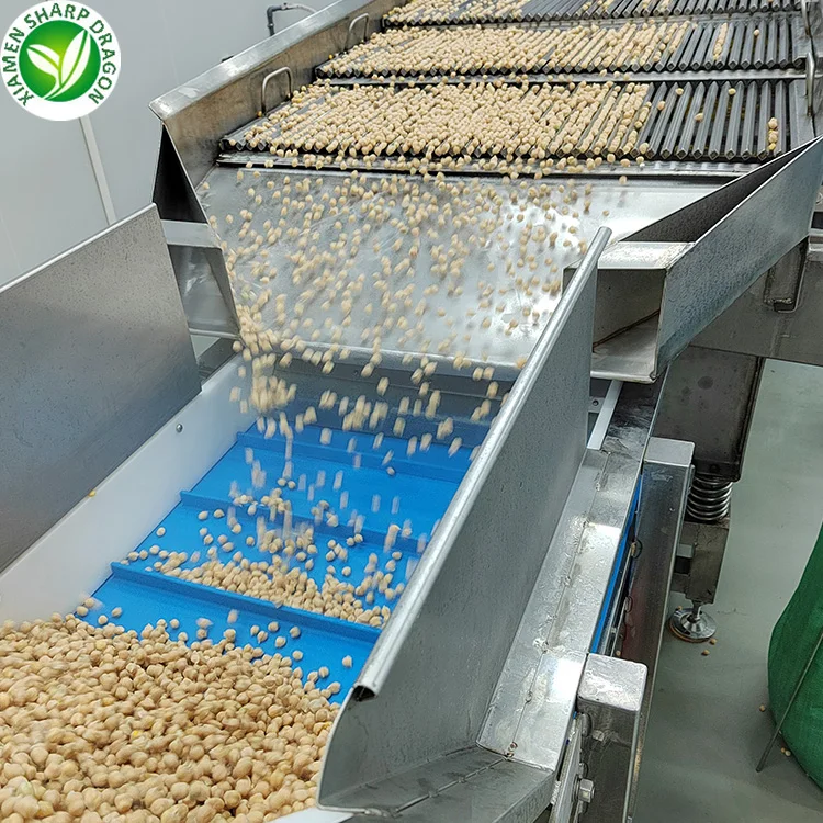 Organic Frozen Fresh Chickpeas Chick Peas Garbanzo beans with Freezing Freeze IQF Bulk Wholesale price