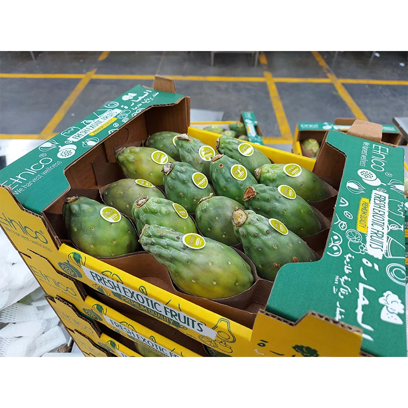 Big Sale Cactus Fig Cactus Pear Pricky Pear Fresh Fruit Supplier