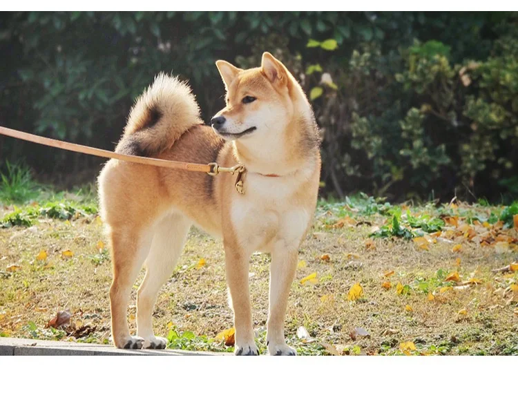 IMG_5547(20210414-150310)