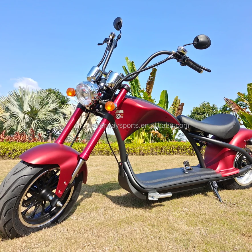 Fashion electric scooter citycoco  3000w citycoco M1 with EEC CE