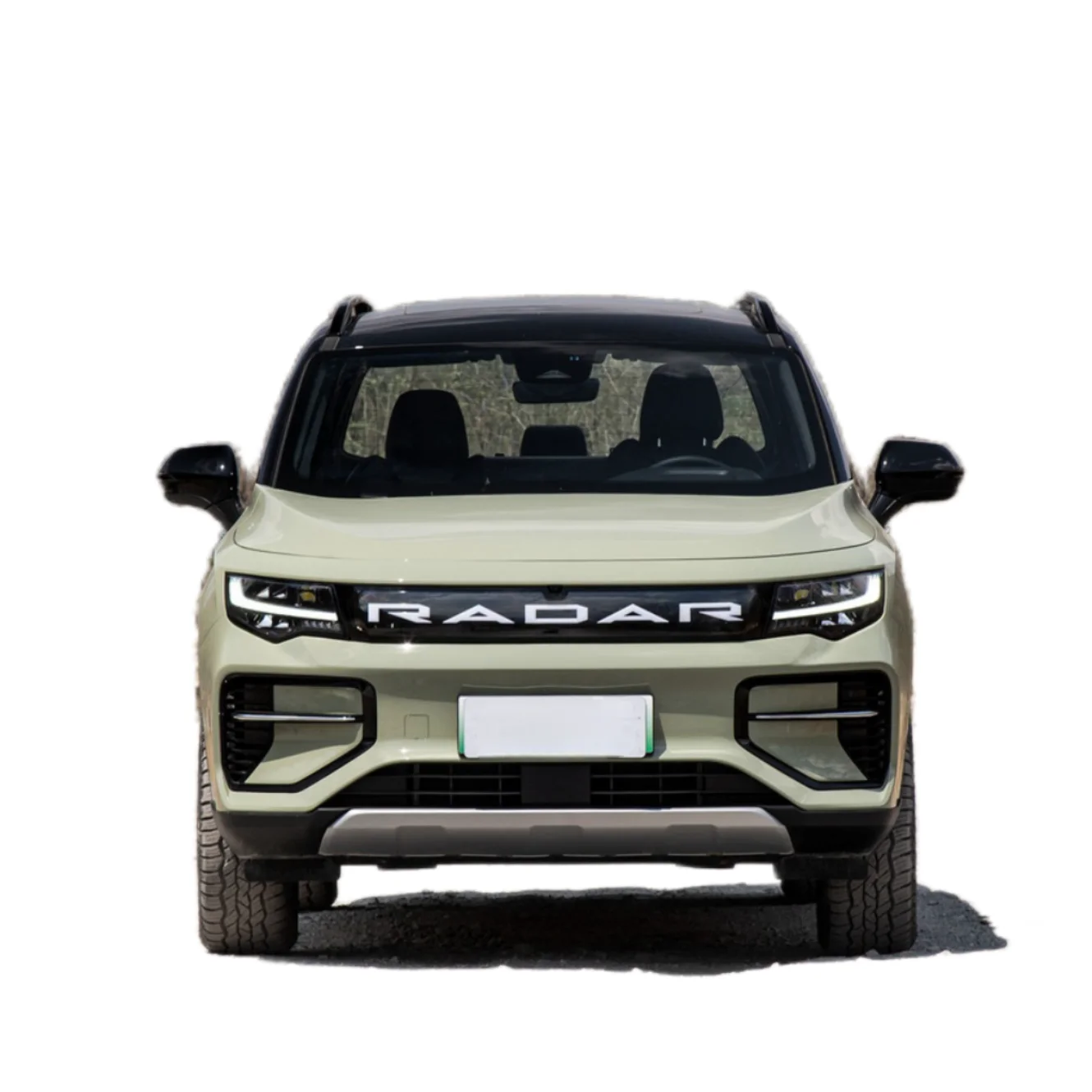 Hot sale pickup EV electric mini pickup car RD6 4WD new energy vehicles RD6 ev pickup