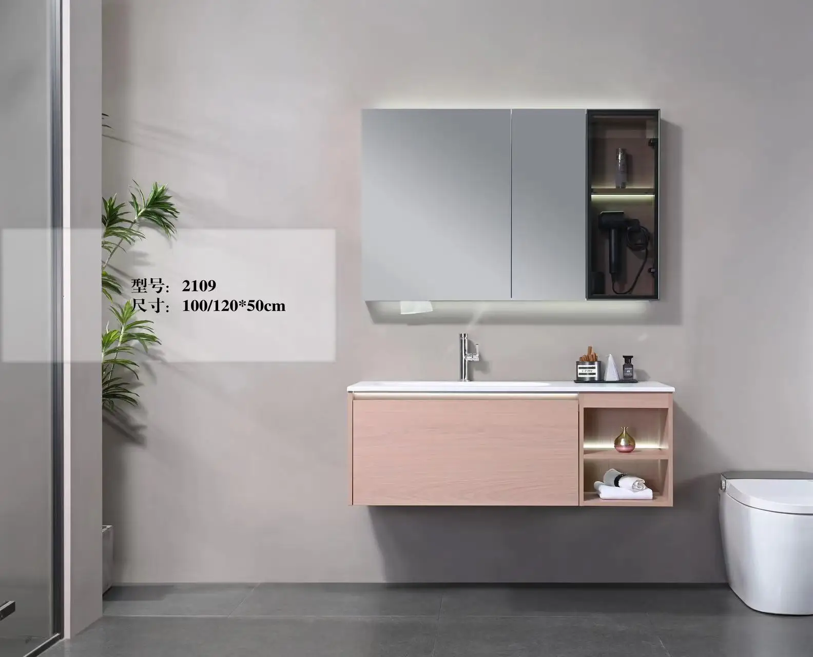 Luxury Double Sink Basin Modular Bathroom Vanity Cabinet Hotel Center Bathroom Mirror Cabinet