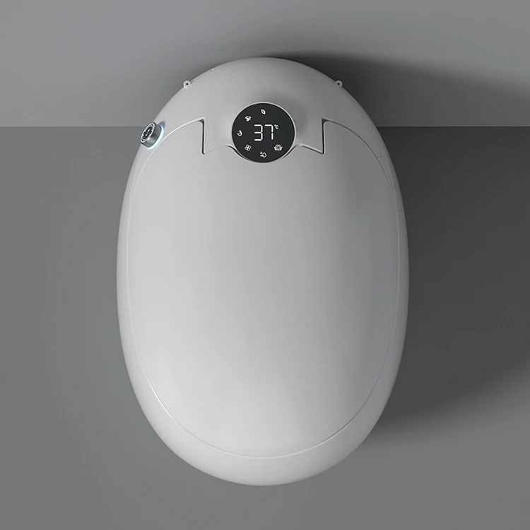 Unique Creative Wc Sanitary Female Cleaning Smart Water Closets Egg Shaped Automatic Ceramic