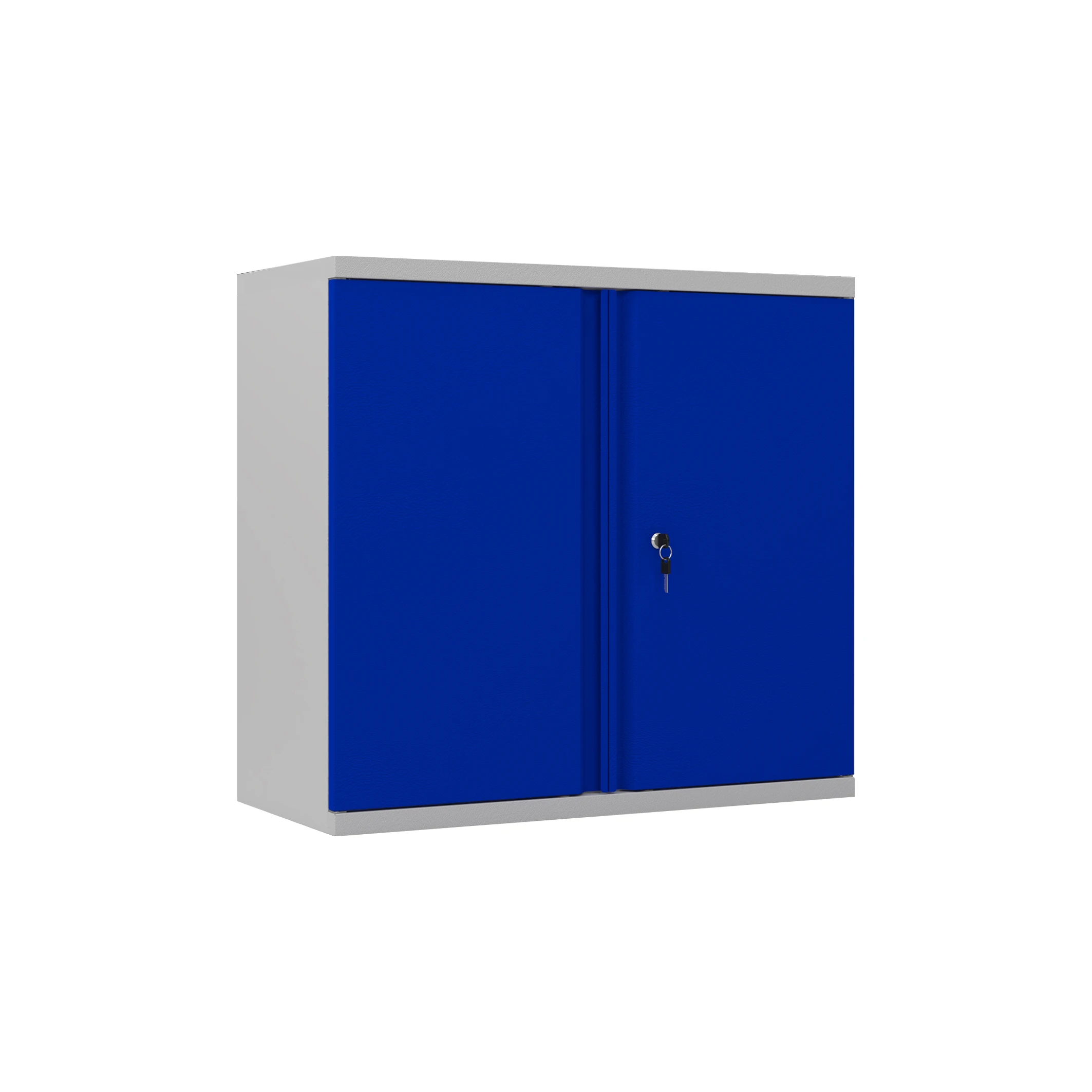 Half Height Cupboard 2 Door Metal Steel File Storage Cabinet Office Small Mini Low Safe Lockers