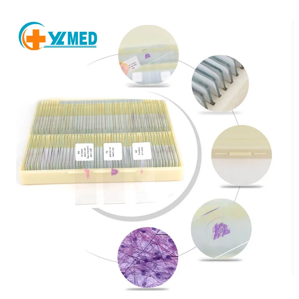 Factory Lab 50 Pcs / Set Human Animal Histology Prepared Slides Glass Microscope for Teaching in Plastic case