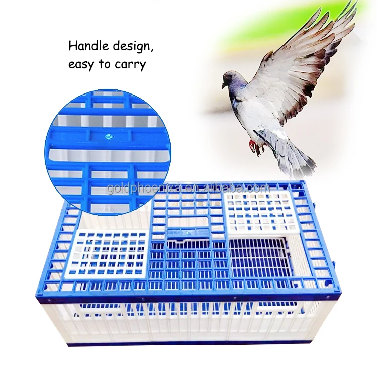 yyc Plastic Three Doors Bird Transportation Cage Poultry Racing Pigeon Cages Training Cage