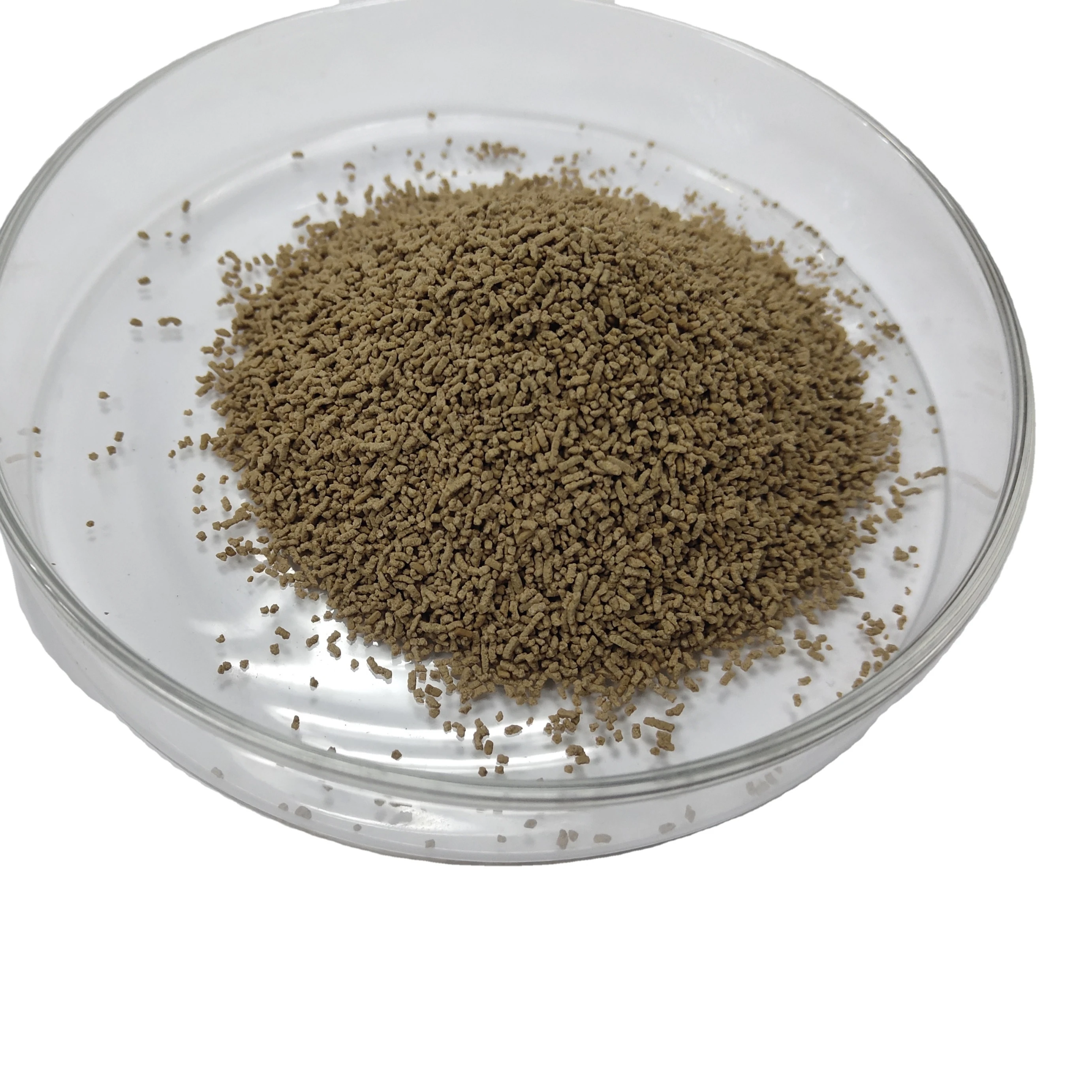 Feed grade coated protease for cattle