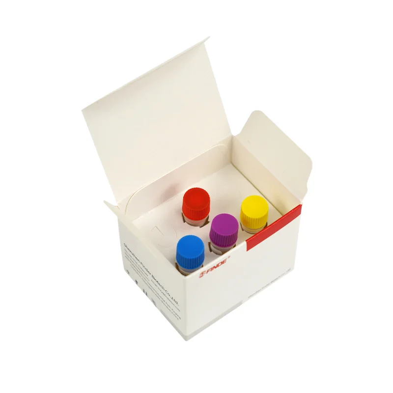 Accurate Veterinary Instrument Chicken Marek Disease (MDV) RT-PCR Kit for Diagnosis and Detection