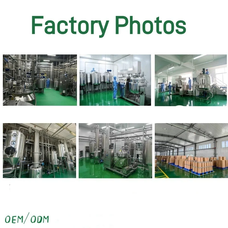 Manufacturers wholesale zedoary oil plant essential oil