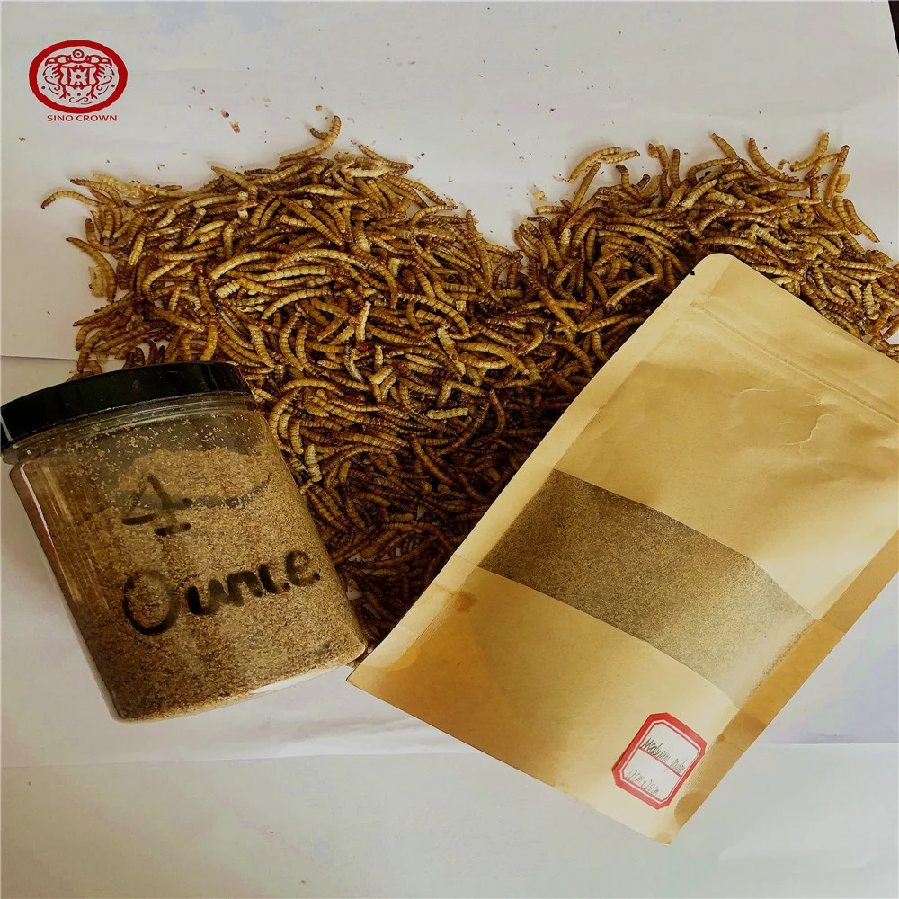 Bulk Sale Mealworm Protein Powder Like Cricket Flour as Supplement Sport Nutrition China Qingdao White Powder FISH MEAL Dried