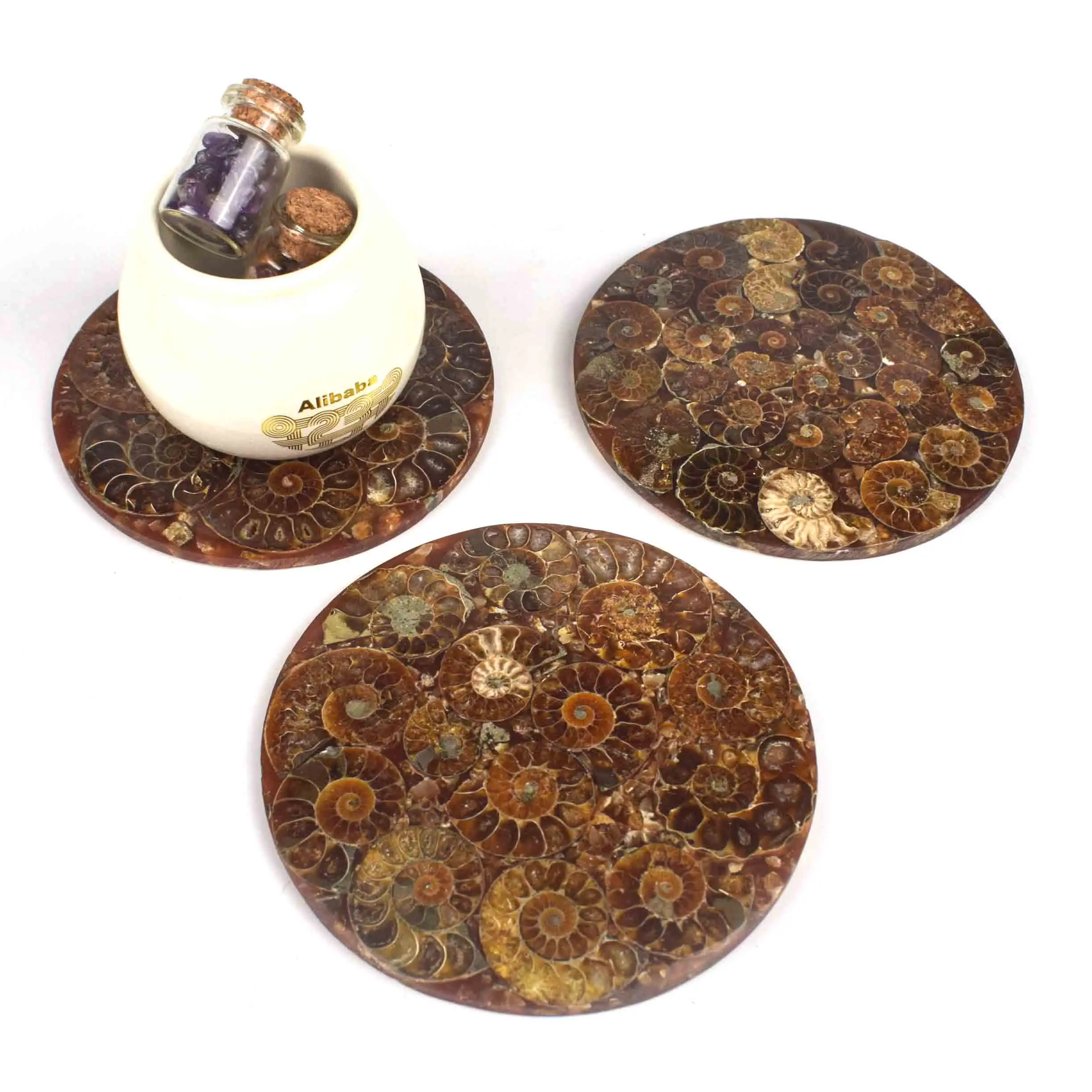 Wholesale Natural Crystals Ammonite Teacup Mat Polished Fossil Plate For Decoration