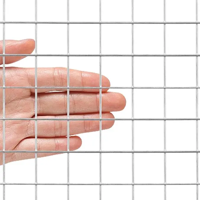 Factory Direct Sale High Quality rustproof 3*3cm welded mesh for welded chicken cage wire mesh