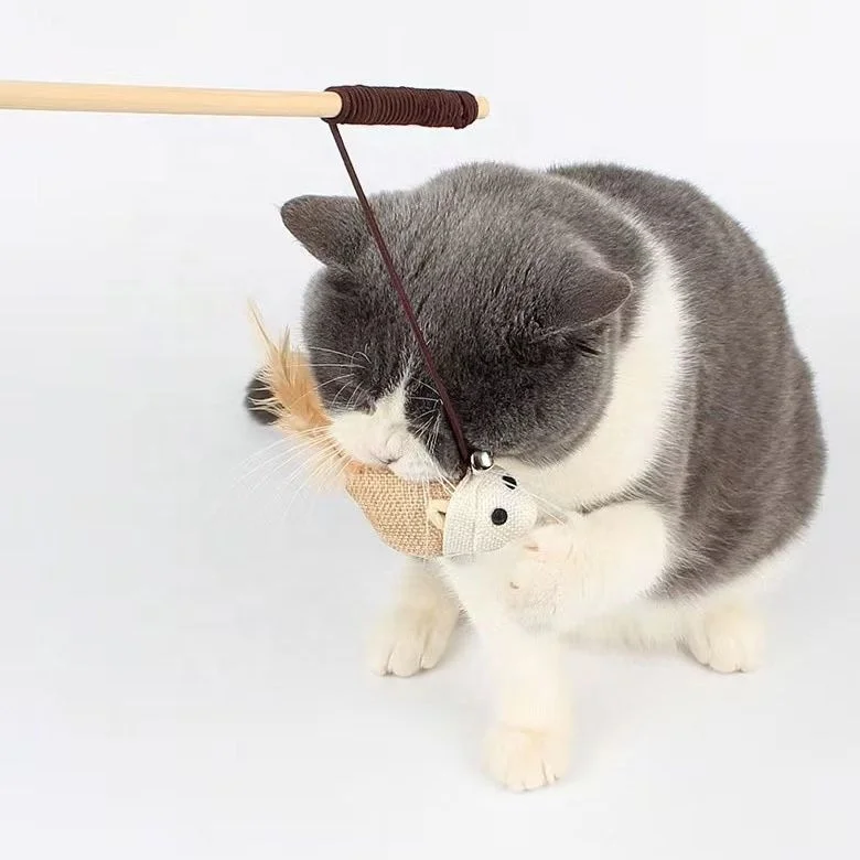 Having Fun Exerciser Playing Cat Toys Natural Wood Cat Teaser Wand Toy