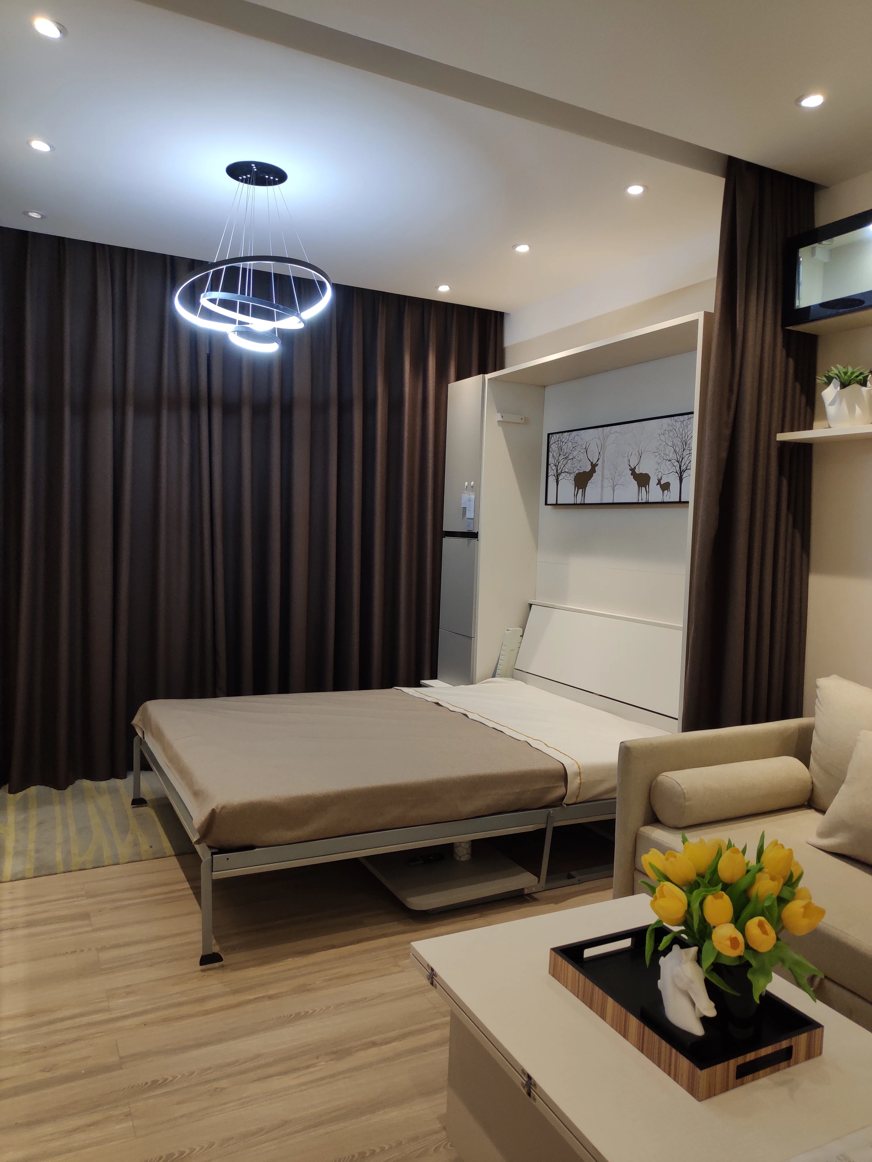 Multi-Function Space Saving Customized Queen Full Size Wall Bed Murphy Sofa Bed With Desk