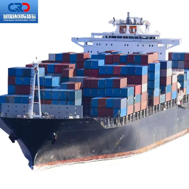 Drop Shipping Agent DDP Cargo Ship Agent UPS DHL Express Sea Shipping Air Freight Forwarder China to India Thailand  Middle East