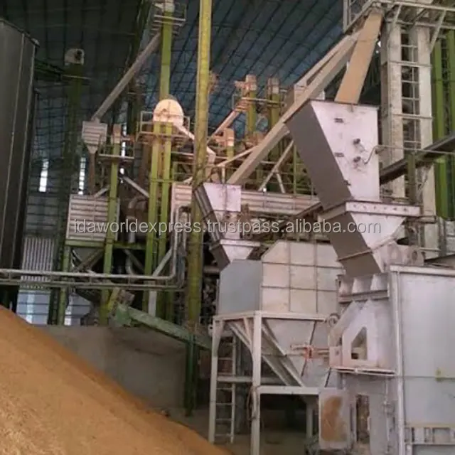 
Jasmine Rice 100% Thai Jasmine Perfume Rice Brands Or OEM Origin Thai Jasmine Rice 