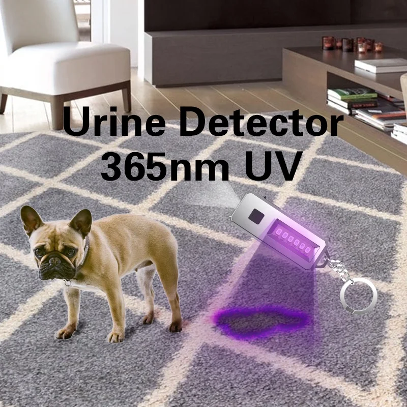 Portable LED UV 365nm Light for Curing Nail Dollar Euro Money Detector Pet Urine Detection LED UV Torch Lamp