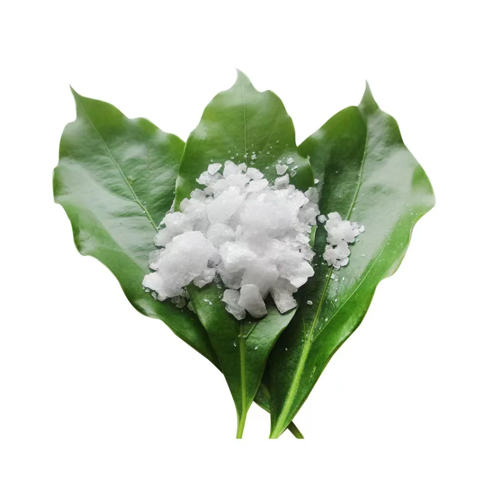 High Quality Natural Borneol Crystals Using for Food Tobacco Additive and Senior Perfume