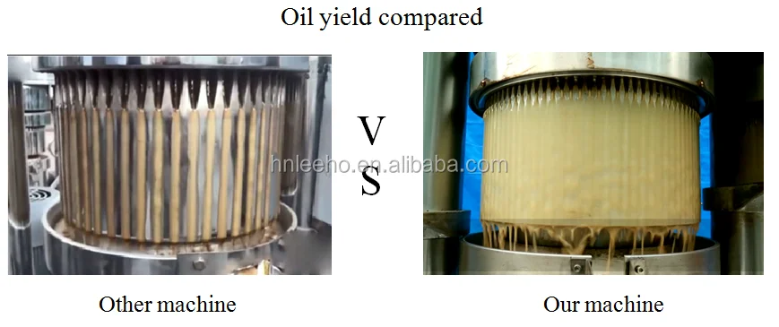 coconut powder extraction machine rapseed pressor avocado oil