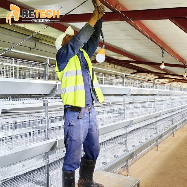 Poultry Farming Equipment 4 Tier A Type Fully Automatic Battery Layer Chicken Cage for Egg Hens