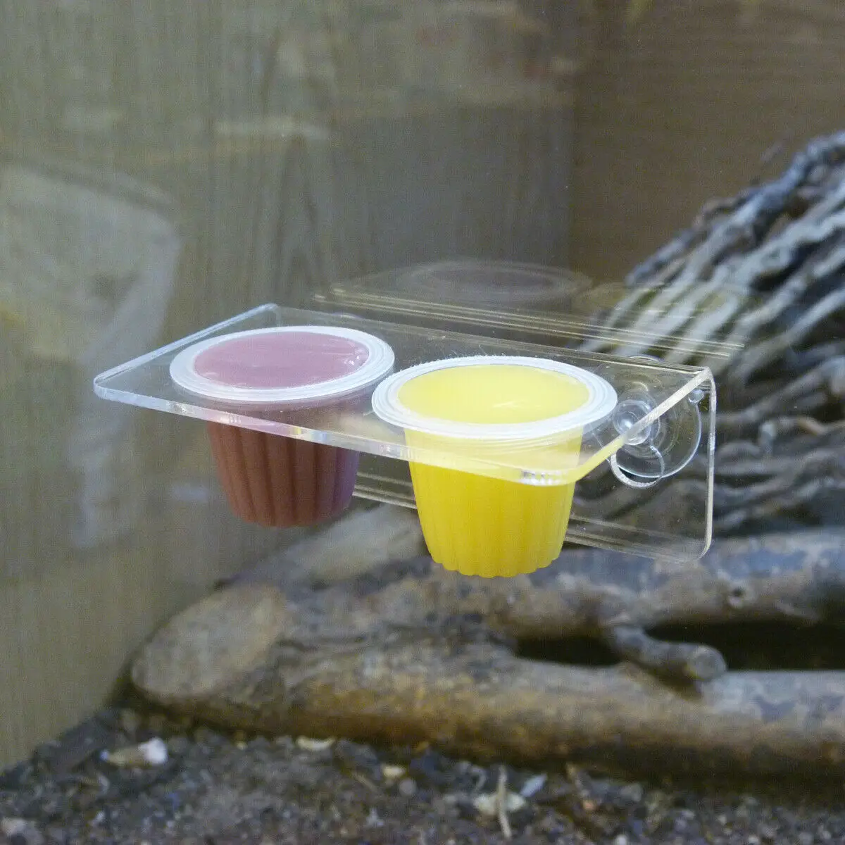 Reptile World Acrylic Double Feeding Ledge for Reptile Jelly Pots arboreal geckos Pot Holder with suction cup feeding rack