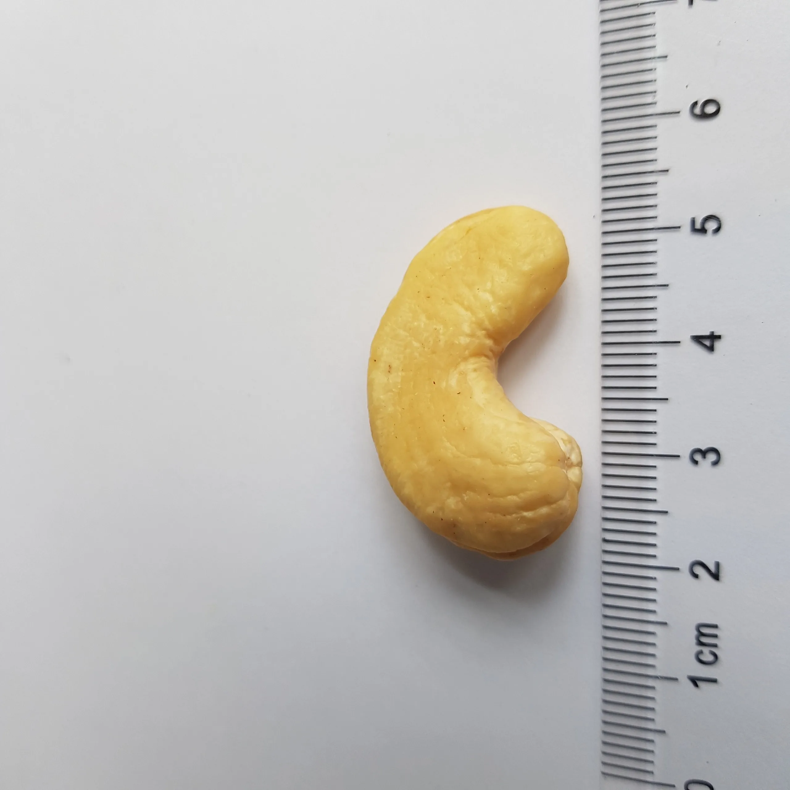 [Salted With Skin] Cashew Nut from Vietnam