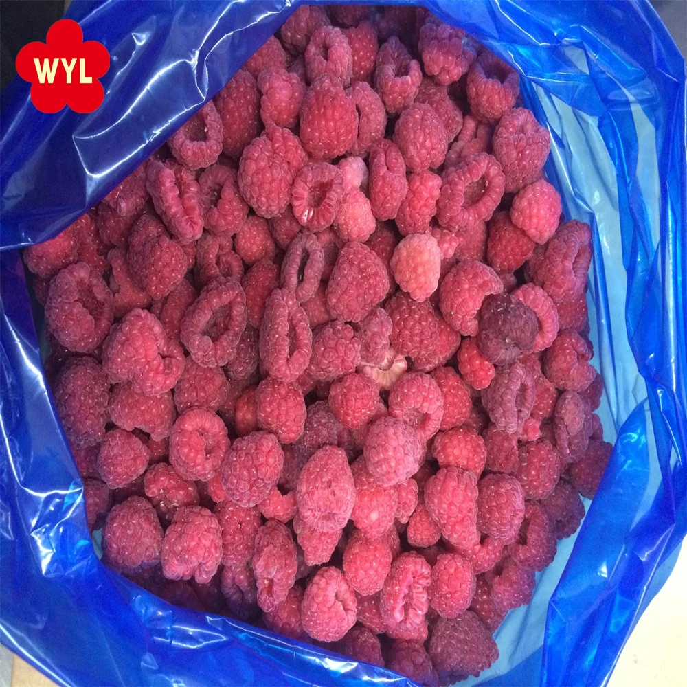 Hot Selling IQF Frozen Raspberry Whole Fruits Peak Ripeness Freshly Picked Good Price Bulk Packaging Similar to Durian Type