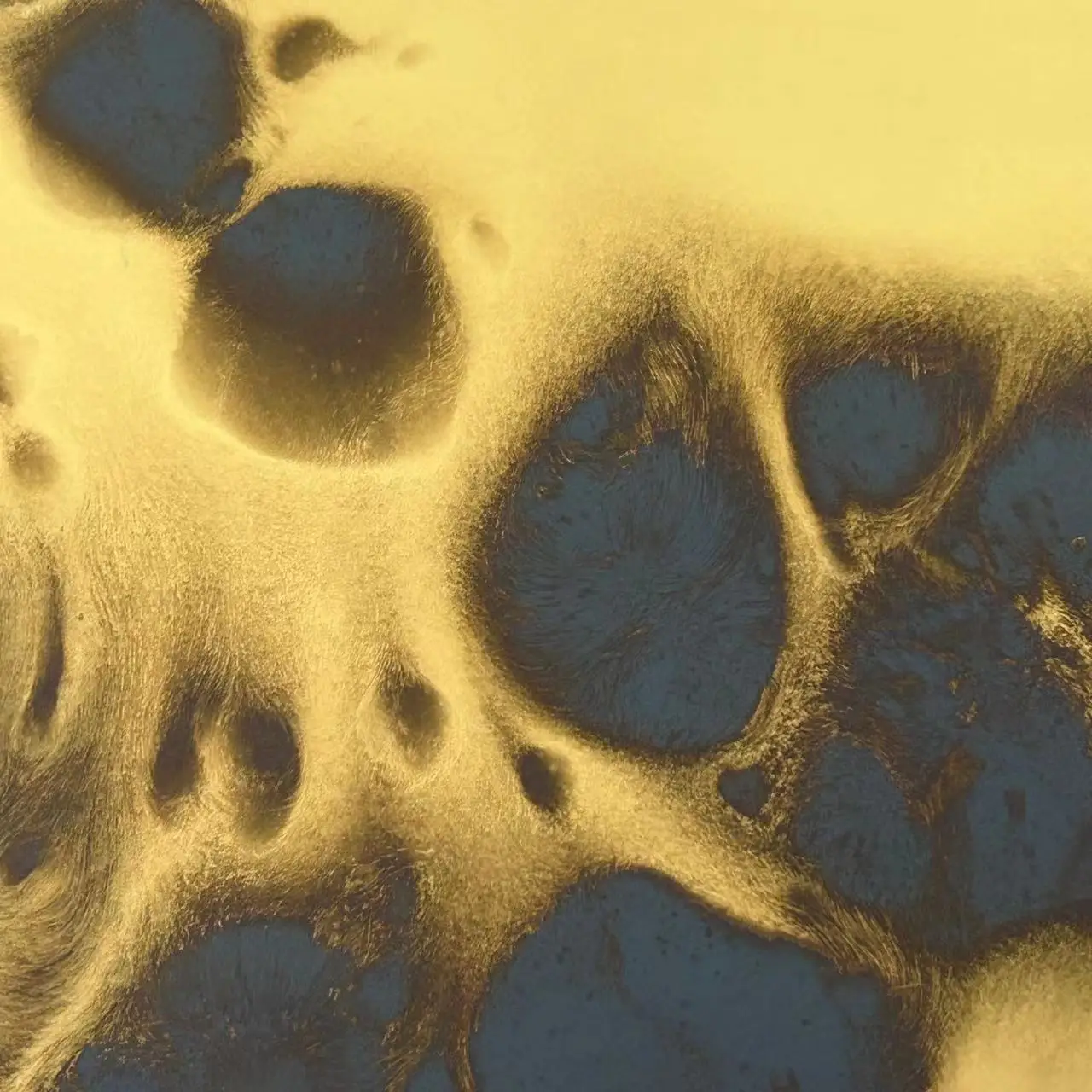 Wholesale High Quality Antique Mirror Modern Gold European Mirror Home Decor Wall Mirrors Glass For Dining Room