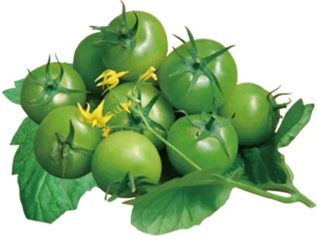 Hgreen цветной зеленый маленький Вишневый Томатный Семена Горячий сорт