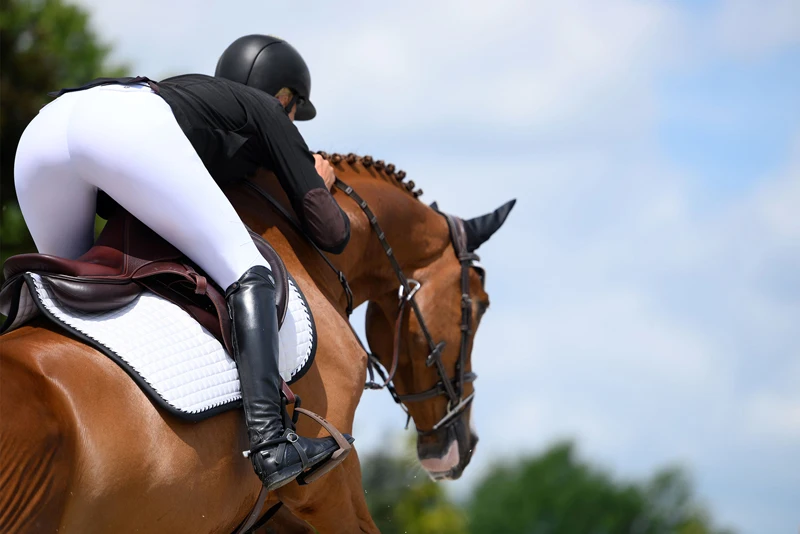 Wholesale Equestrian Jump Saddle Pad Custom New Style Comfort Breathable Horse Saddle Pads High Quality