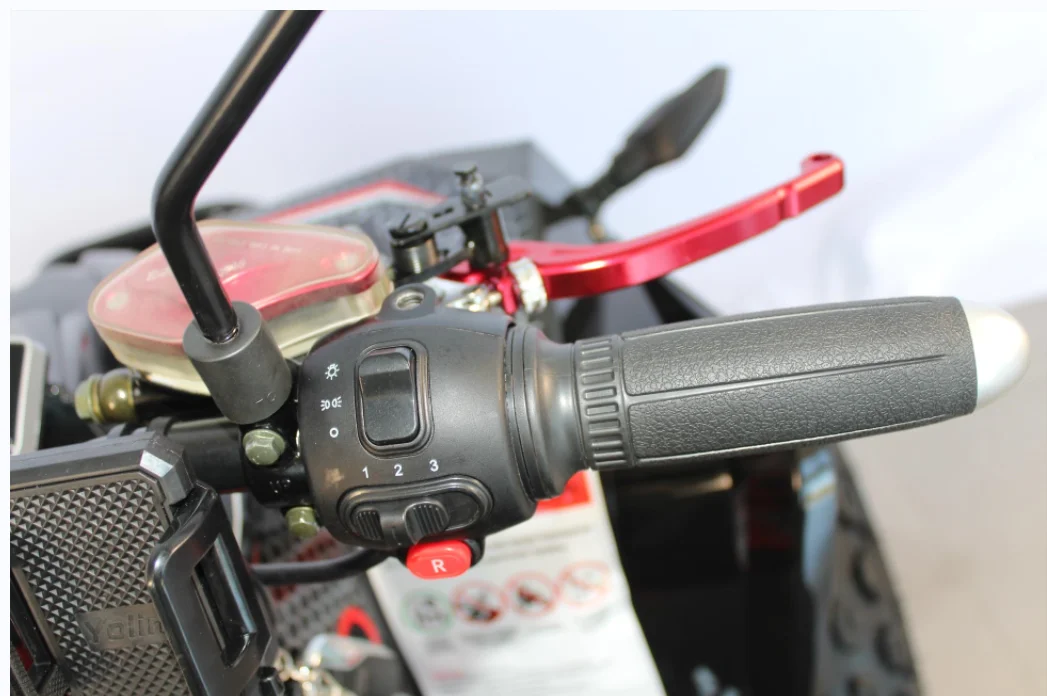 electric bike 4 wheels citycoco electric scooter adults 2000w motor 60v 20ah battery 4 wheel electric motorcycles eec