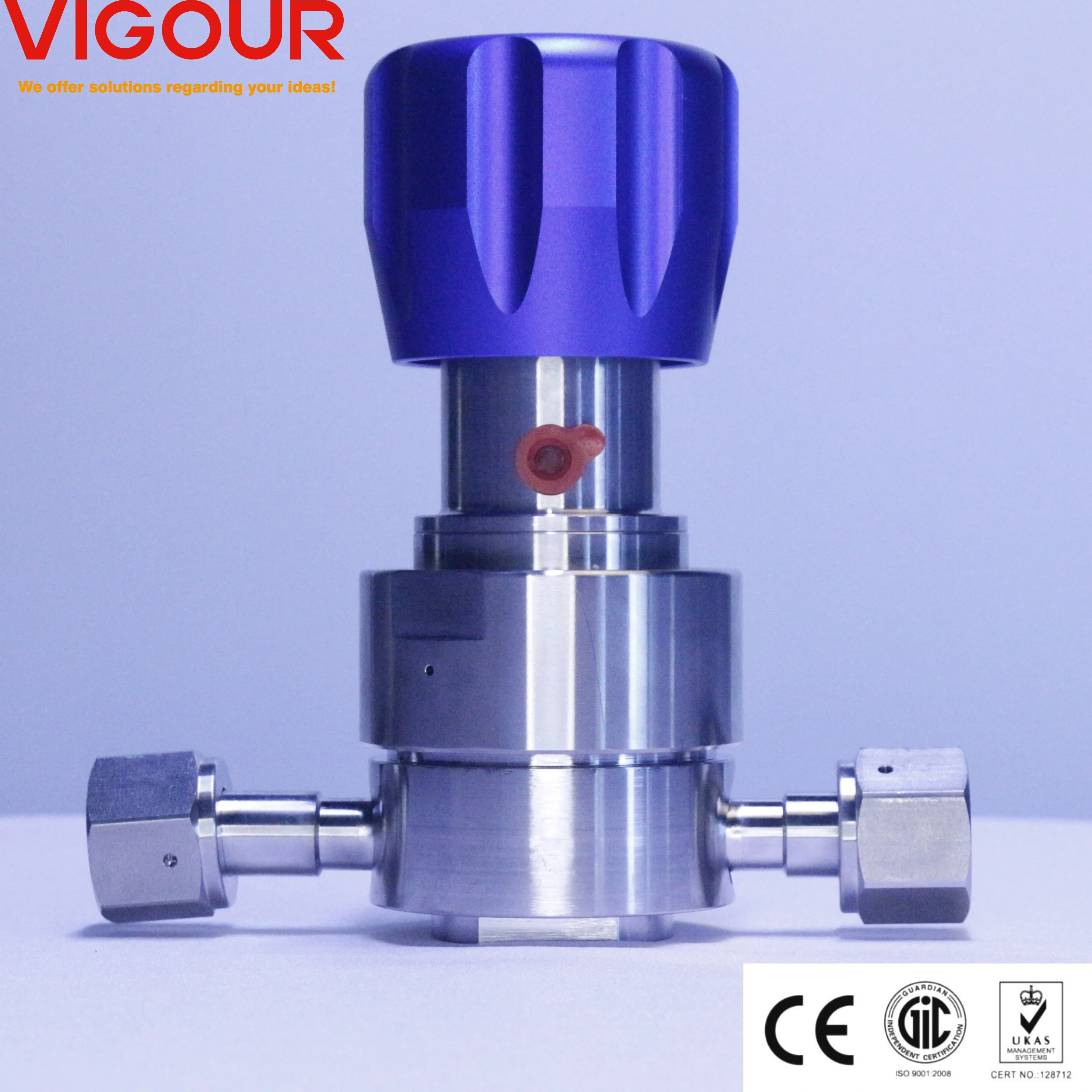 Single-Stage Manual Pressure Regulator High Temperature Diaphragm Ultra High Purity 316L Gas Media Gas Pressure Reducing Valves