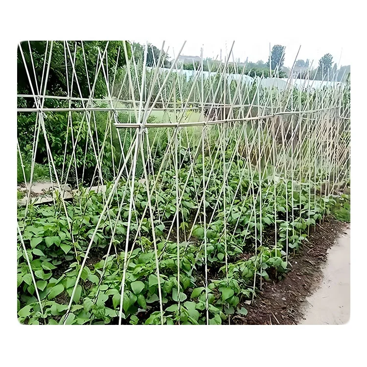 Сельскохозяйственные и садоводческие растительные колья стеклопластиковые стержни