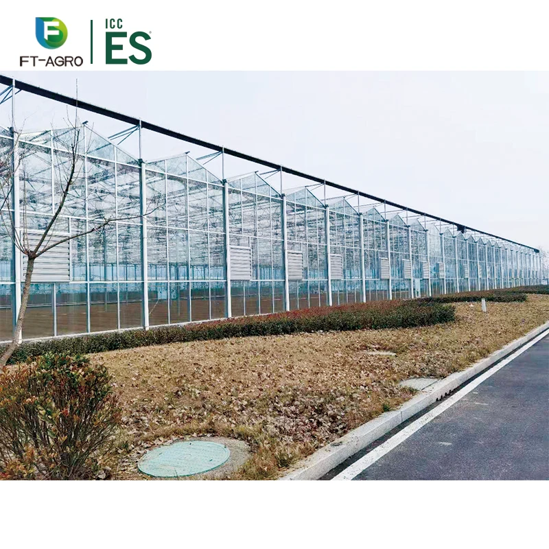 Китайская Высококачественная стеклянная теплица, сельскохозяйственная теплица для посадки роз