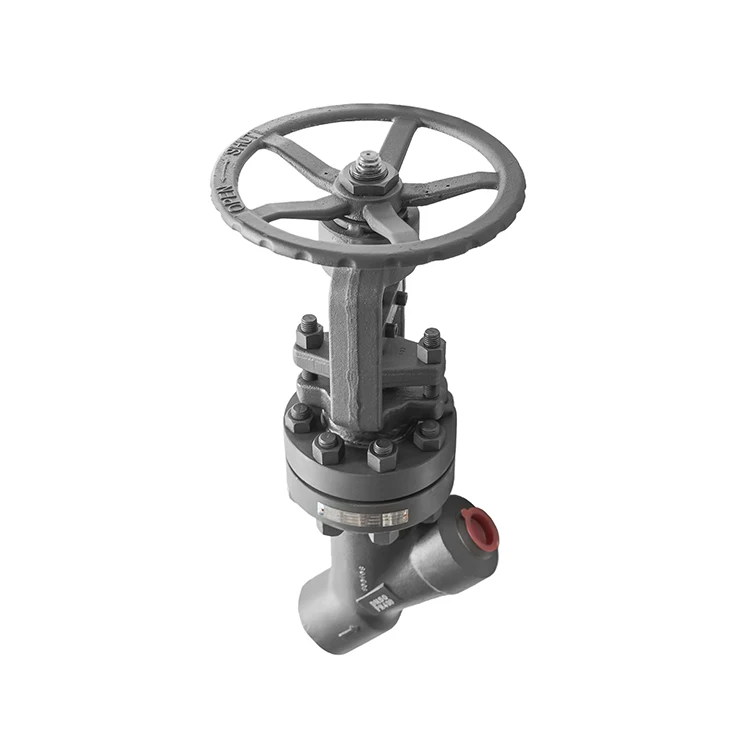
Forged Y-type pn400 manual stop valve with high pressure middle bolt 