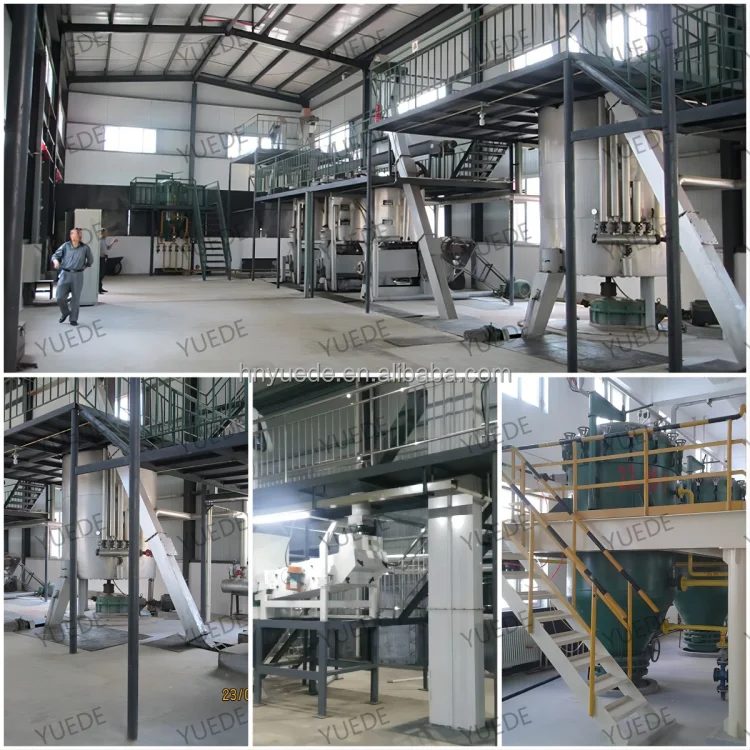 Soybean Sesame Canola Oil Production Line Vegetable Copra Oil Processing Machine Farm Avocado Olive Oil Processing Plant