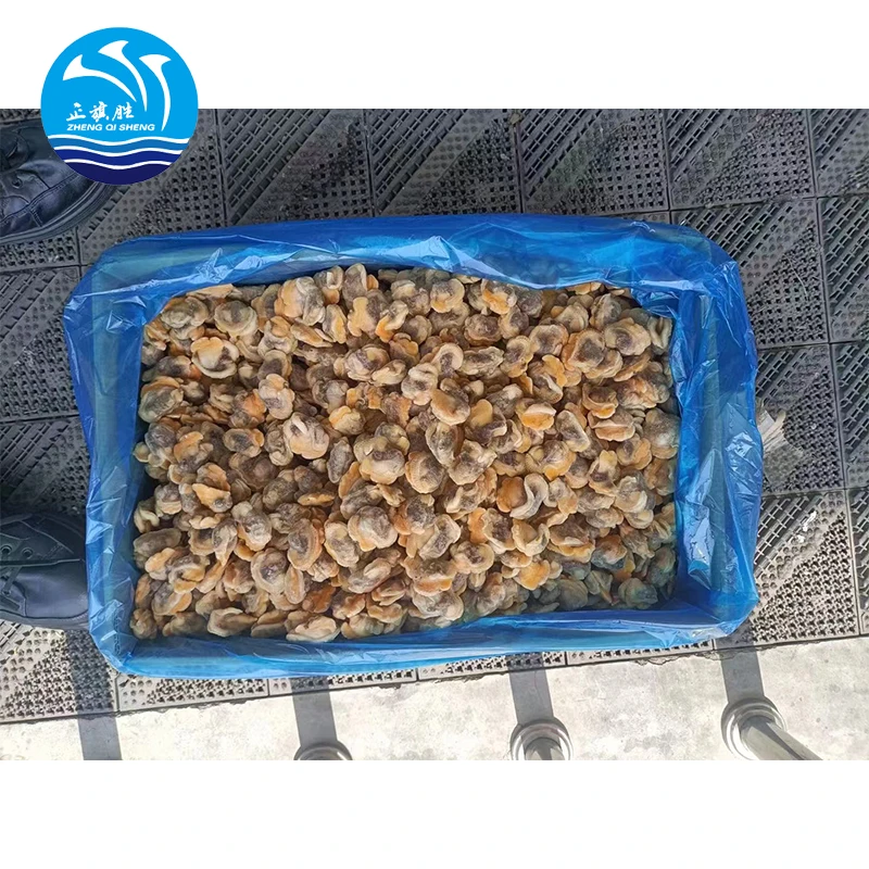 Wholesale High quality fresh frozen boiled short necked clam meat