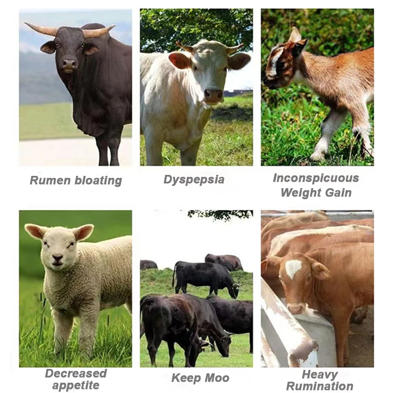 Bacillus Subtilis Animal Feed Additive Probiotics For Animal Feed For Cattle And Sheep Ruminants
