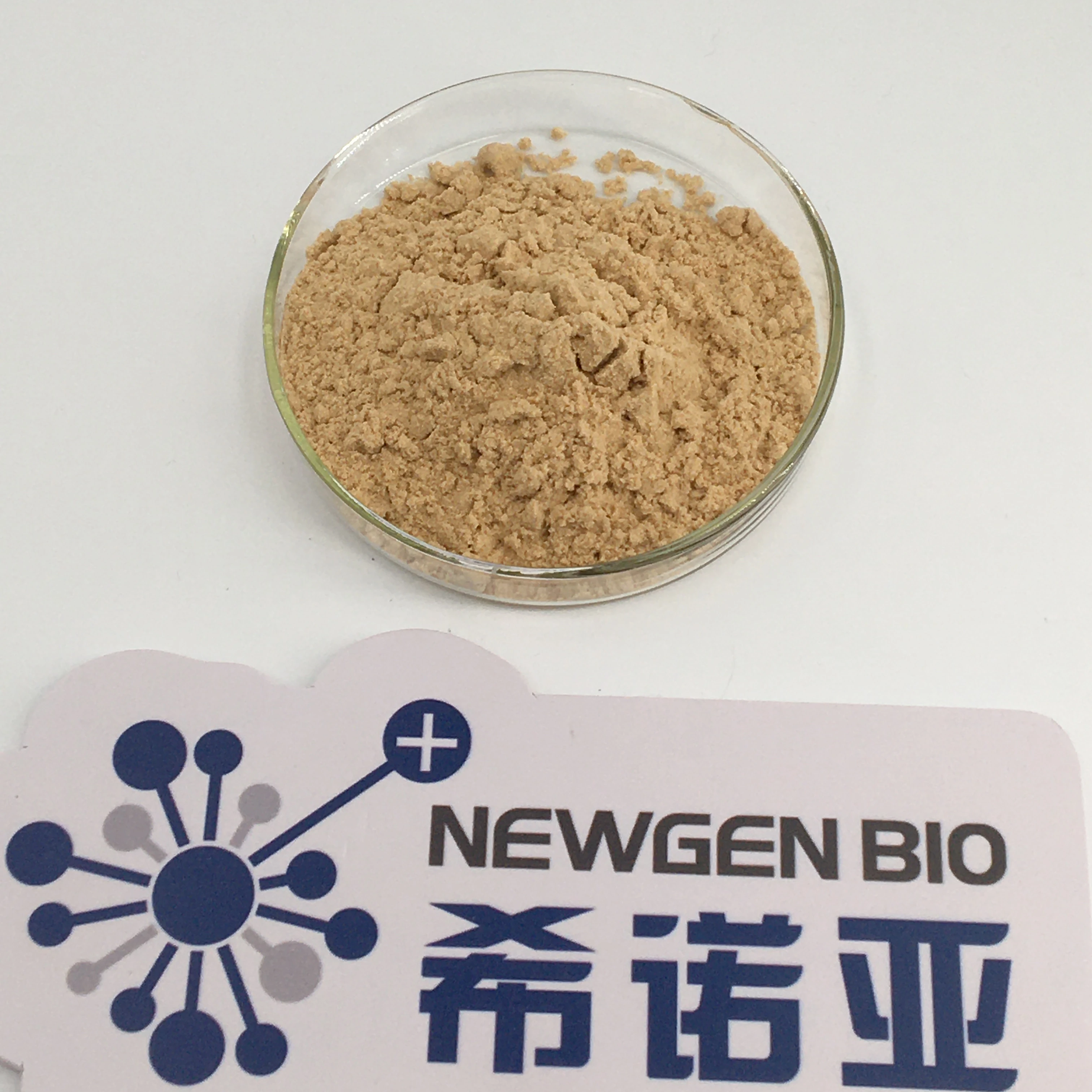 High Enzyme Activity  Glucoamylase  powder GMP certificated factory