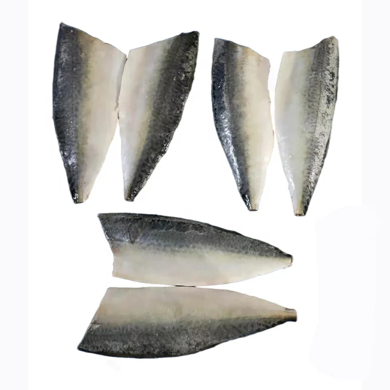 
good quality New material IQF frozen fish pacific mackerel fillets Japan Origin No chemical treated for promotion 