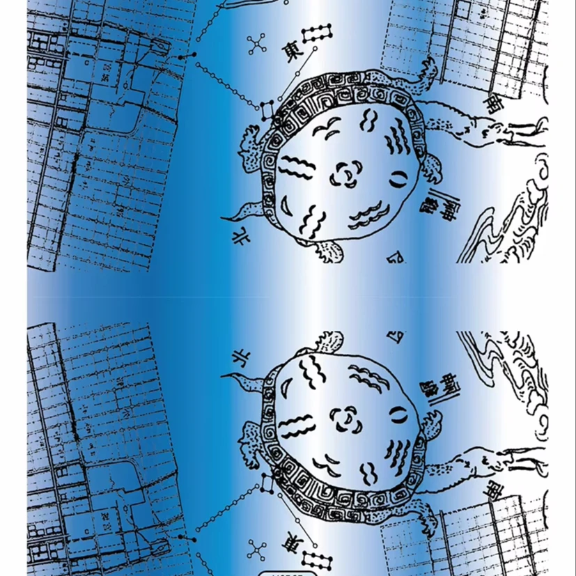 Blue Shading on the White Drawing Turtle Back Map Heat Transfer Film